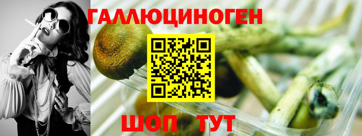 Псилоцибиновые грибы Magic Shrooms Долгопрудный